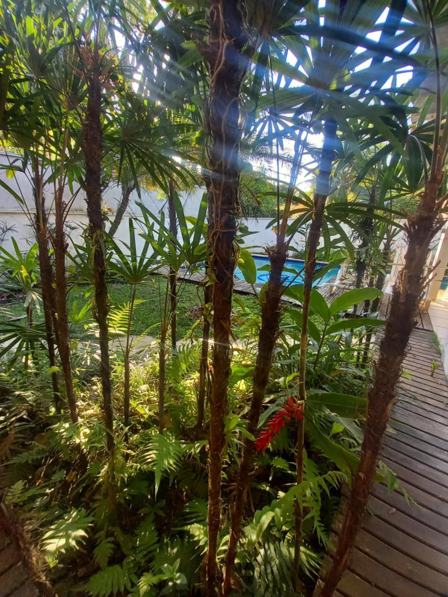 Suite No Condominio Itamambuca - Muito Perto Da Praia !!! Ubatuba Room photo